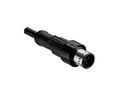 Kabelsatz, M12-Stecker - Offene Enden, 5 Leiter, 1m, IP68, Schwarz